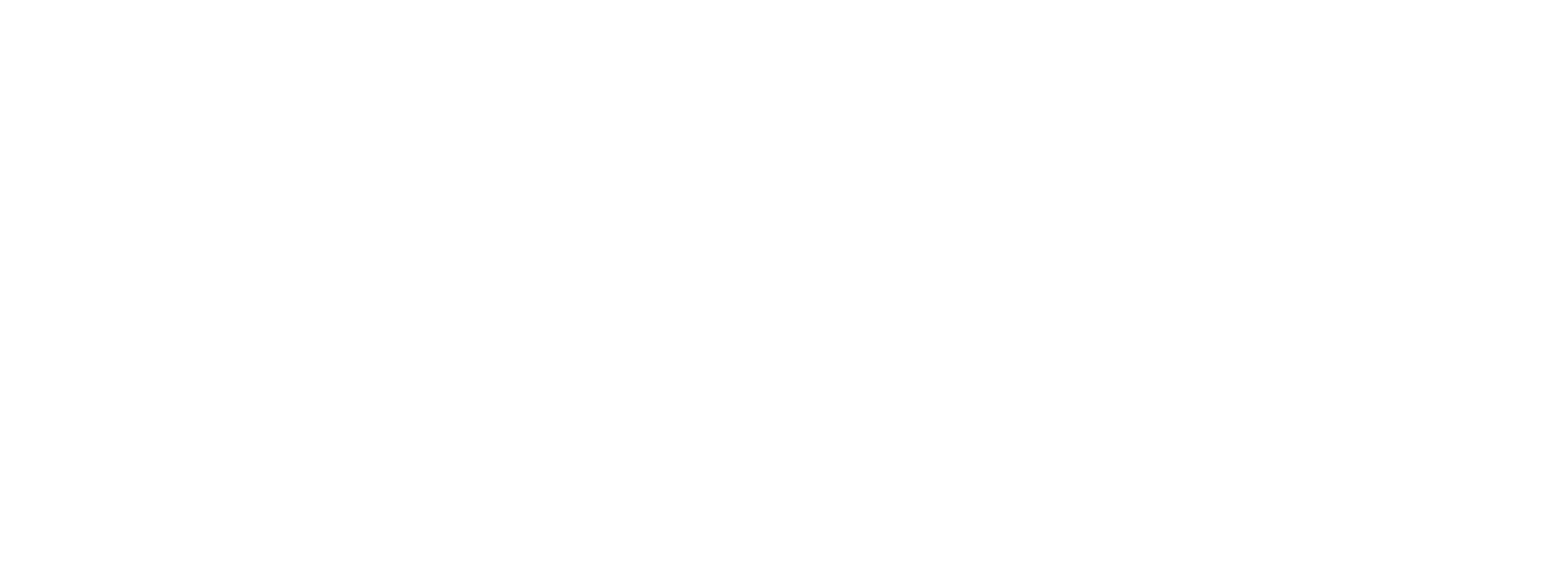 Norden AI Logo